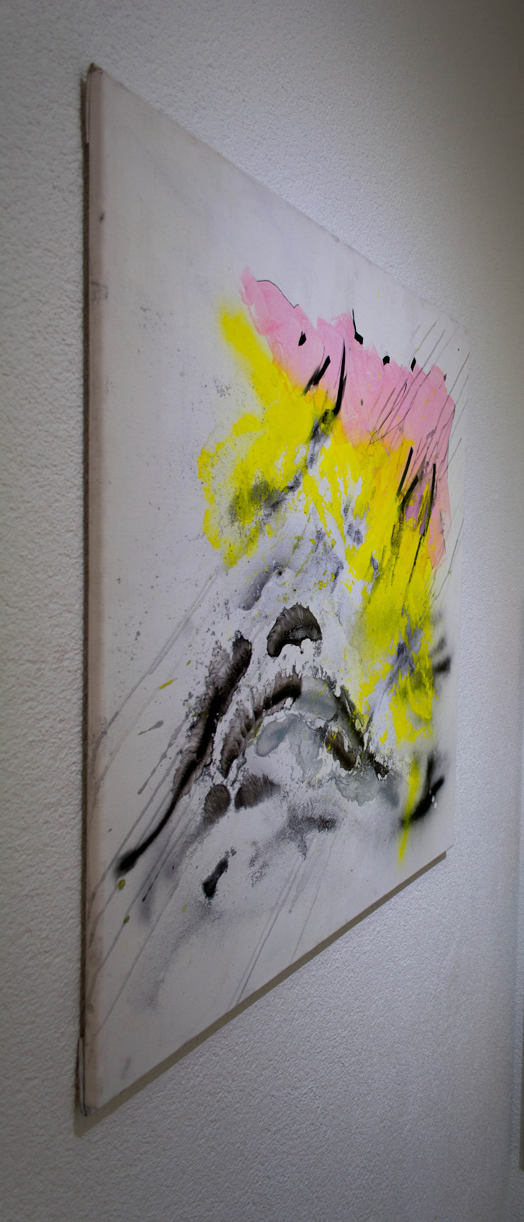 DSC_0098.jpg